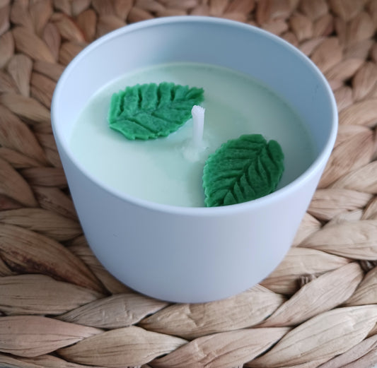 Bougie " Menthe chlorophylle "