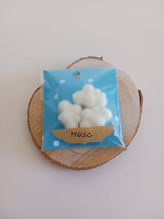 Fondant parfumé " Musc "